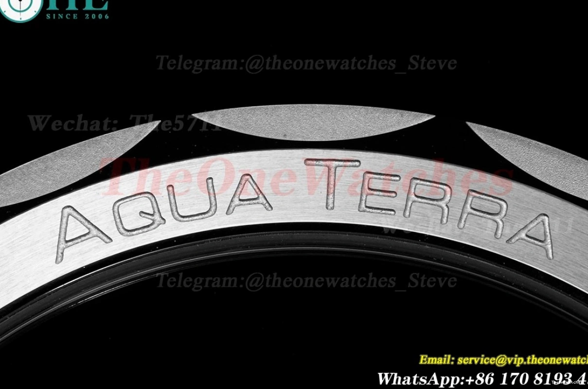 Blue SS VSF Master A8900 41mm SS Aqua Super Terra Clone Dark 150m 0306